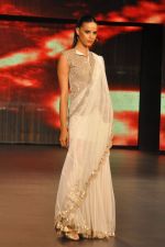 at Blenders Pride Fashion Tour 2011 Day 2 on 24th Sept 2011 (249).jpg